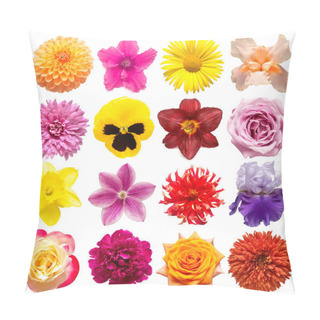 Personality  Collection Flowers Rose, Iris, Lily, Gerbera, Dahlia, Cyclamen,  Pillow Covers