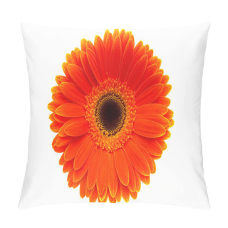 Personality  Orange Gerbera Pillow Covers