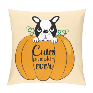 Personality  Cutes Pumpkin Ever-text, With Pumpkin And Cute Boston Terrier, On Beige Background. Good For Textile, T-shirt, Banner ,poster, Print On Gift. Pillow Covers