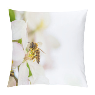 Personality  Bee Collecting Pollen On Apple Tree Blossoming Flower At Spring. Apple Tree Bloom Pillow Covers