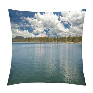 Personality  A View From Lava Lake Bend Oregon Pillow Covers