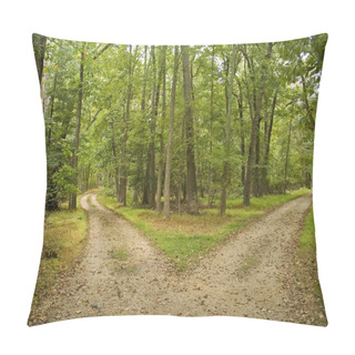 Personality  Two Paths Pillow Covers