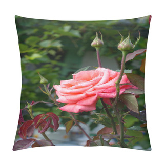 Personality  Brightly Roses Pillow Covers