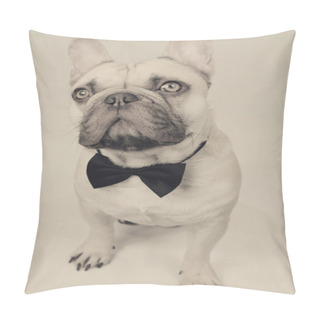 Personality  Elegant French Bulldog Pillow Covers