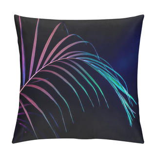 Personality  Leaf Of House Palm With Color Filter, Isolated On Black Pillow Covers