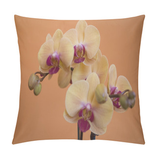Personality  Yellow And Pink  Orchid On Orange Background Pillow Covers