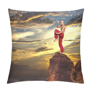 Personality  Martial Artist Pillow Covers