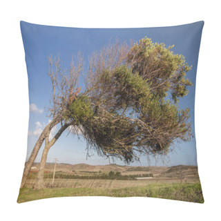 Personality  Crooked Tree On Vila Do Bispo Pillow Covers