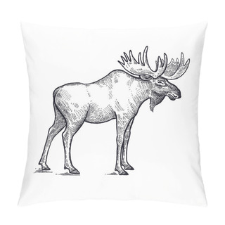 Personality  Moose Forest Animals Illustration. Pillow Covers
