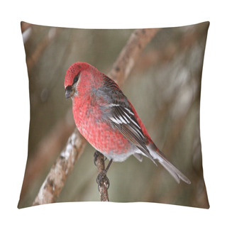 Personality  Red Crossbill Perched On Branch Pillow Covers
