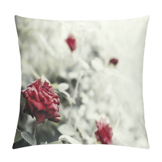 Personality  Rose Bush Artistic Toned Pillow Covers