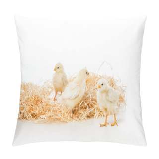 Personality  Three Cute Little Chickens On Nest Isolated On White Pillow Covers