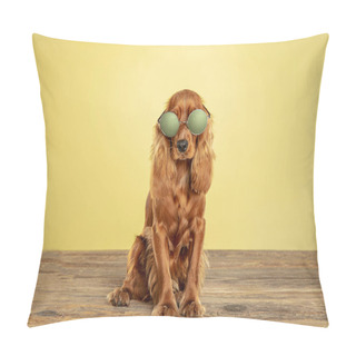 Personality  Studio Shot Of English Cocker Spaniel Dog Isolated On Yellow Studio Background Pillow Covers