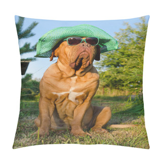 Personality  Dog With Hat And Glasses In The Garden Pillow Covers