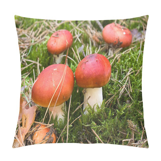 Personality  Russula Pillow Covers