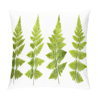 Personality  Seth And Fresh Fern Leaves Isolated On White Background Pillow Covers