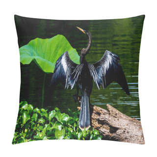 Personality  An Anhinga, Or Snakebird, In An Interesting Pose Using His Shadow To Hunt For A Meal. Pillow Covers