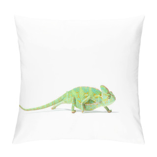 Personality  Side View Of Colorful Tropical Chameleon Crawling Isolated On White     Pillow Covers