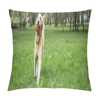 Personality  Funny Golden Retriever Dog Running With Ball On Green Lawn Pillow Covers