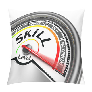Personality  Skill Level Conceptual Meter Pillow Covers