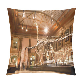 Personality  Giant Skeletons Of Brachiosaurus And Diplodocus In Dinosaur Hall Pillow Covers