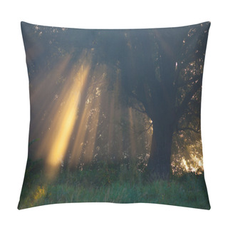 Personality  Sun Beams Thorough Trees And Greens Pillow Covers