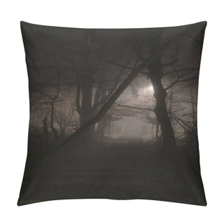 Personality  Mysterious Stony Stairs In Dense Fog At Night In Forest. Horror And Mystery Concepts. Pillow Covers