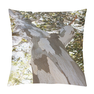 Personality  Eucalyptus Tree Pillow Covers