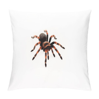 Personality  Black And Red Hairy Spider Isolated On White Pillow Covers