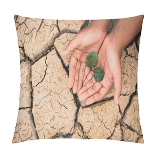 Personality  Hands Of Boy Save Little Green Plant On Cracked Dry Ground, Concept Drought And Crisis Environment Pillow Covers