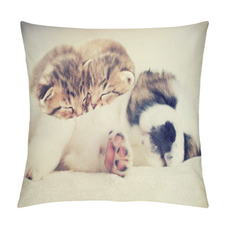 Personality  Puppy And Kitten Pillow Covers