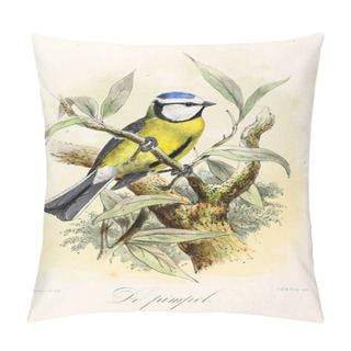 Personality  Illustration Of A Bird. Onze Vogels In Huis En Tuin Pillow Covers