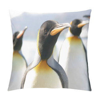 Personality  Portrait Of Group Of King Penguns Pillow Covers
