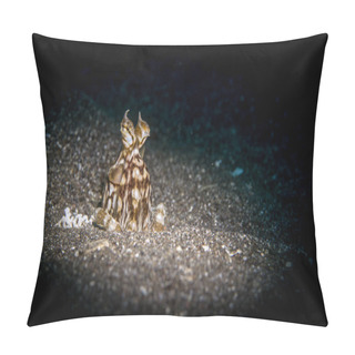 Personality  Mimic Octopus (Thaumoctopus Mimicus) In The Lembeh Strait Pillow Covers