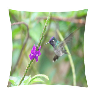 Personality  Emerald Colibri Flying Near Flowers Pillow Covers