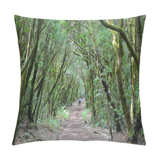 Personality  GARAJONAY NATIONAL PARK, LA GOMERA, SPAIN: Laurel Forest And Its Tangle Of Moss Covered Trunks And Branches Pillow Covers