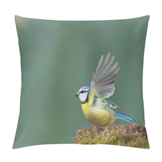 Personality  Eurasian Blue Tit Taking Off  Pillow Covers