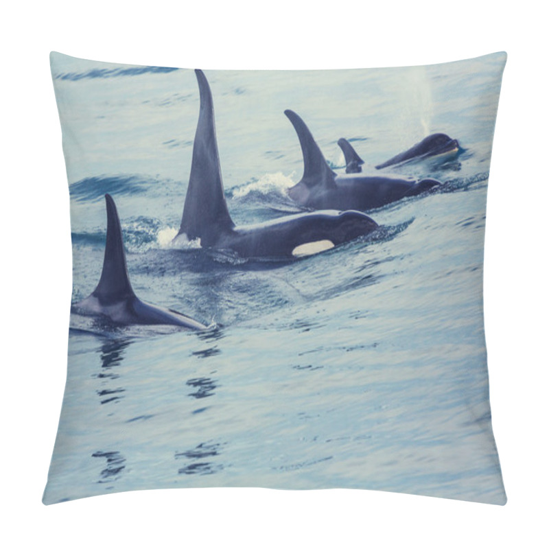 Personality  Killer Whales in Alaska pillow covers