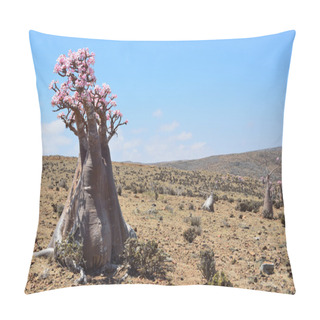 Personality  Yemen, Socotra, Bottle Trees (desert Rose - Adenium Obesum) On Mumi Plateau Pillow Covers