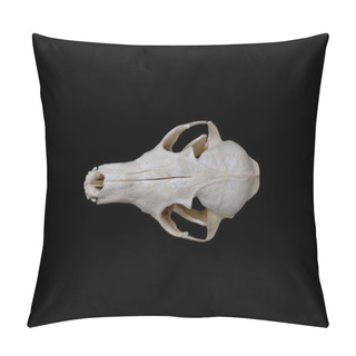 Personality  Fox Skull Pillow Covers