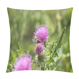 Personality  Pink Purple Flower Heads, Surrounded By Spiny Br. Pillow Covers
