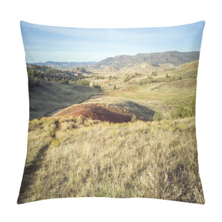 Personality  Incredible Red And Gold Clay Mounds In A Park With Vegetation Hills Trees And A Beautiful Blue And White Sky On The Red Scar Knoll/Red Hill Trail At The John Day Fossil Beds In Oregon Pillow Covers