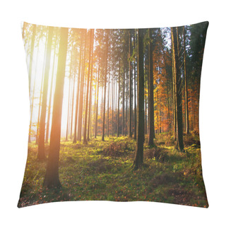 Personality  Beautiful Morning In Forest. Autumn Landscape Pillow Covers