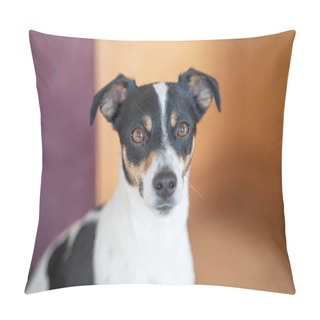 Personality  Brown, Black And White Jack Russell Terrier Dog, Part Of Body, Against A Multicolored Background, Copy Space. Pillow Covers