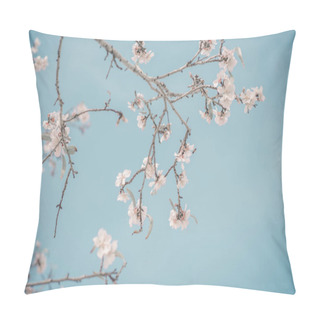 Personality  Beautiful Floral Spring Abstract Background Of Nature. Pillow Covers