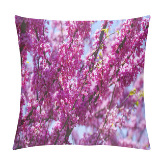 Personality  Amazing Nature - Red Blossoms Of Cherry Trees - WASHINGTON, DISTRICT OF COLUMBIA - APRIL 8, 2017 Pillow Covers