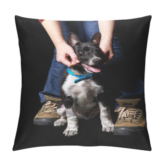 Personality  Cropped View Of Woman In Jeans With Mongrel Dog In Collar Isolated On Black Pillow Covers
