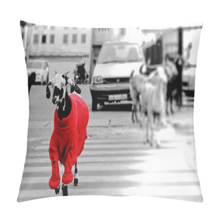 Personality  Goat In The Red Sweater. Pillow Covers