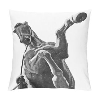 Personality  Taming Of Horses Pillow Covers