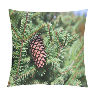 Personality  Fir Cone In Tree Pillow Covers